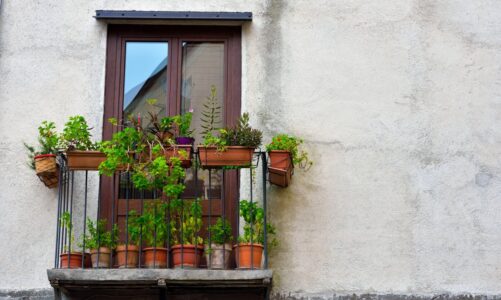Rośliny na balkon — jak dobrać kwiaty do warunków?