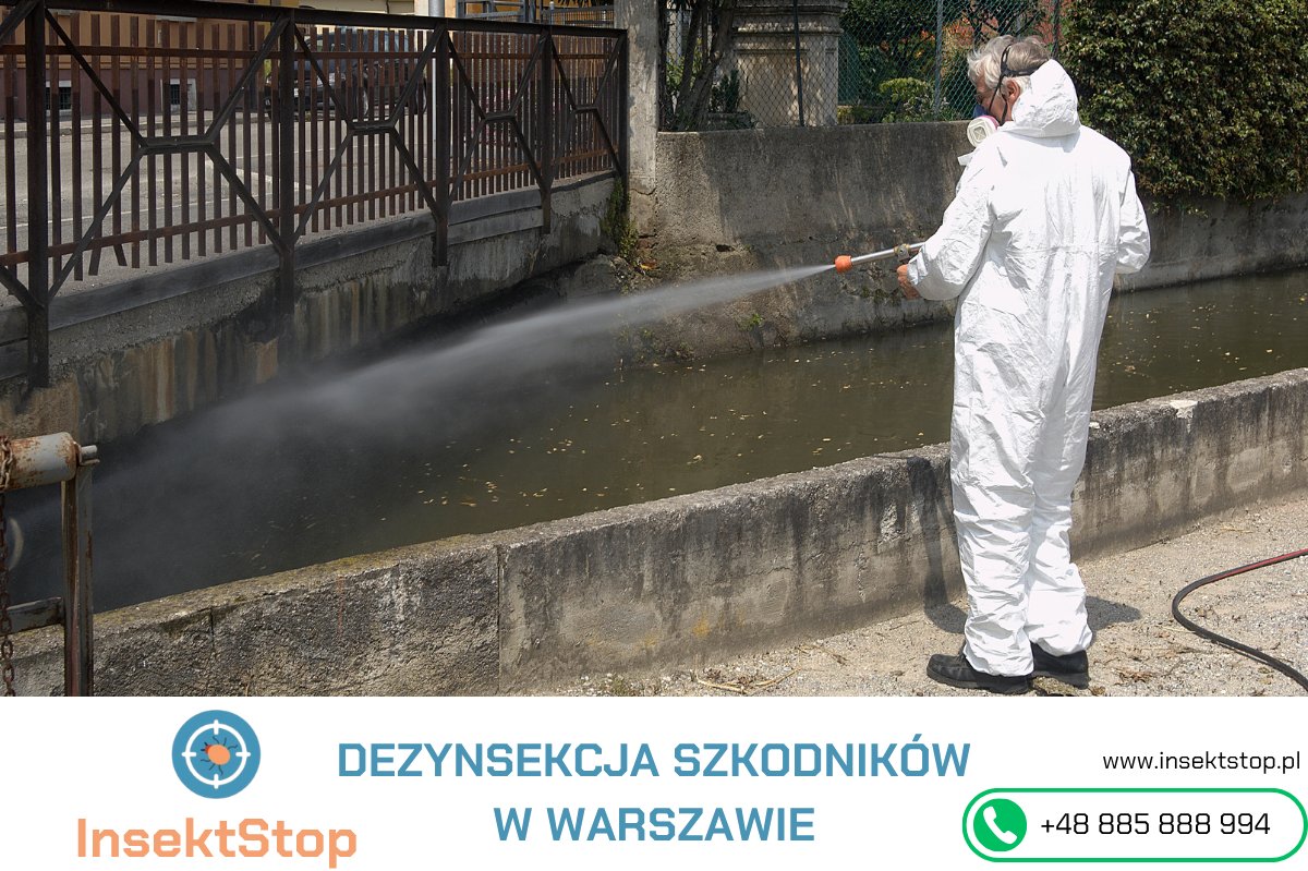 dezynsekcja w warszawie